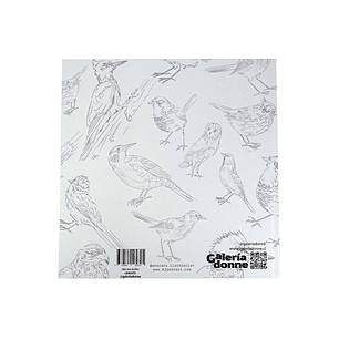 LIBRO AVES DE CHILE POR MARIA JOSÉ PEDRAZA 