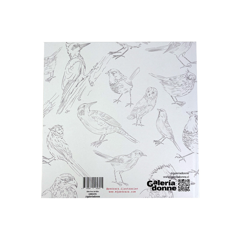 LIBRO AVES DE CHILE POR MARIA JOSÉ PEDRAZA  2