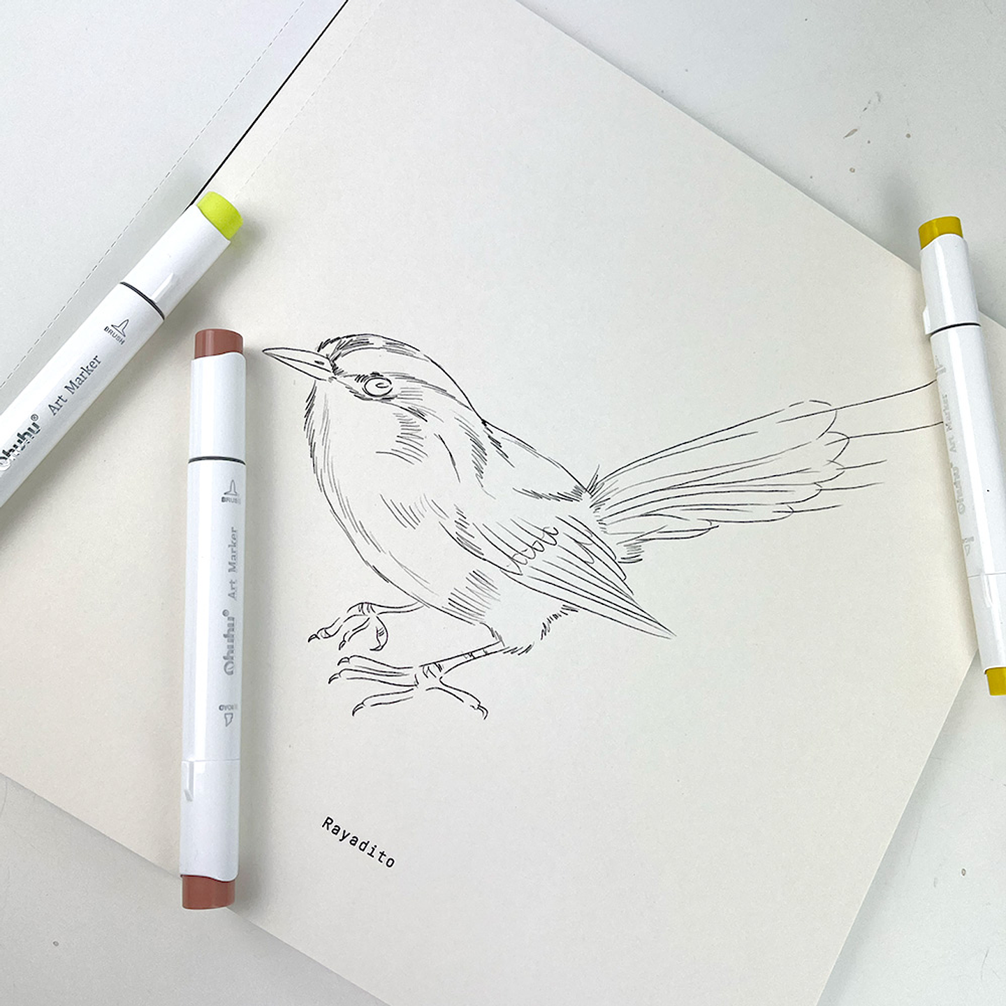 LIBRO AVES DE CHILE POR MARIA JOSÉ PEDRAZA  3