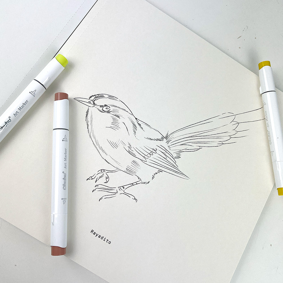 LIBRO AVES DE CHILE POR MARIA JOSÉ PEDRAZA  3