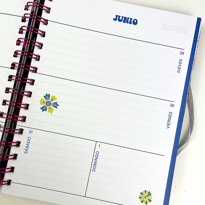 COLORING PLANNER 2025  6