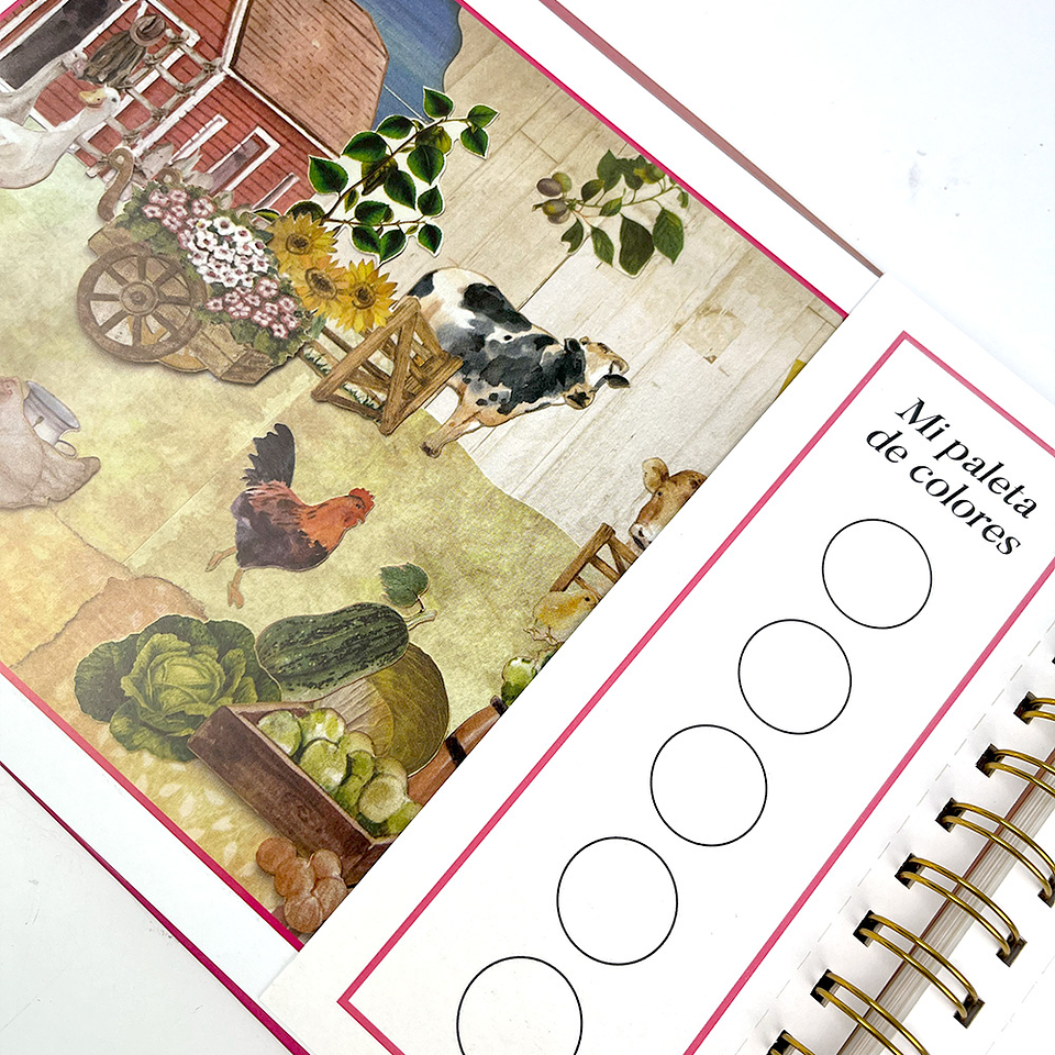 SCENES & LANDSCAPES COLORING BOOK  3