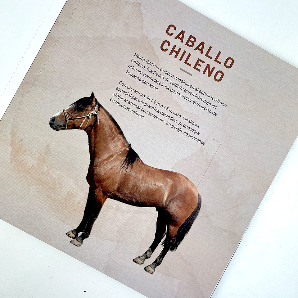 LIBRO CABALLOS RAZAS DEL MUNDO 9789564164847 3