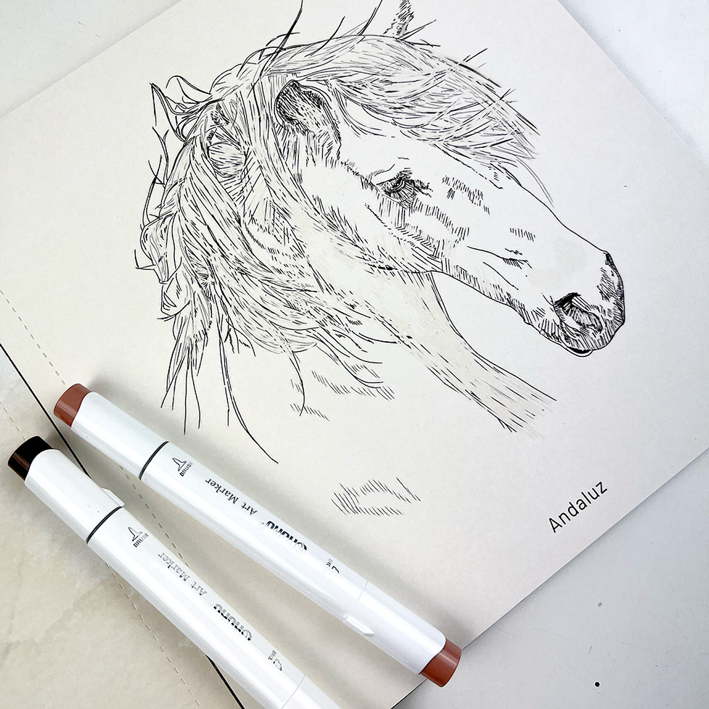 LIBRO CABALLOS RAZAS DEL MUNDO 9789564164847 4