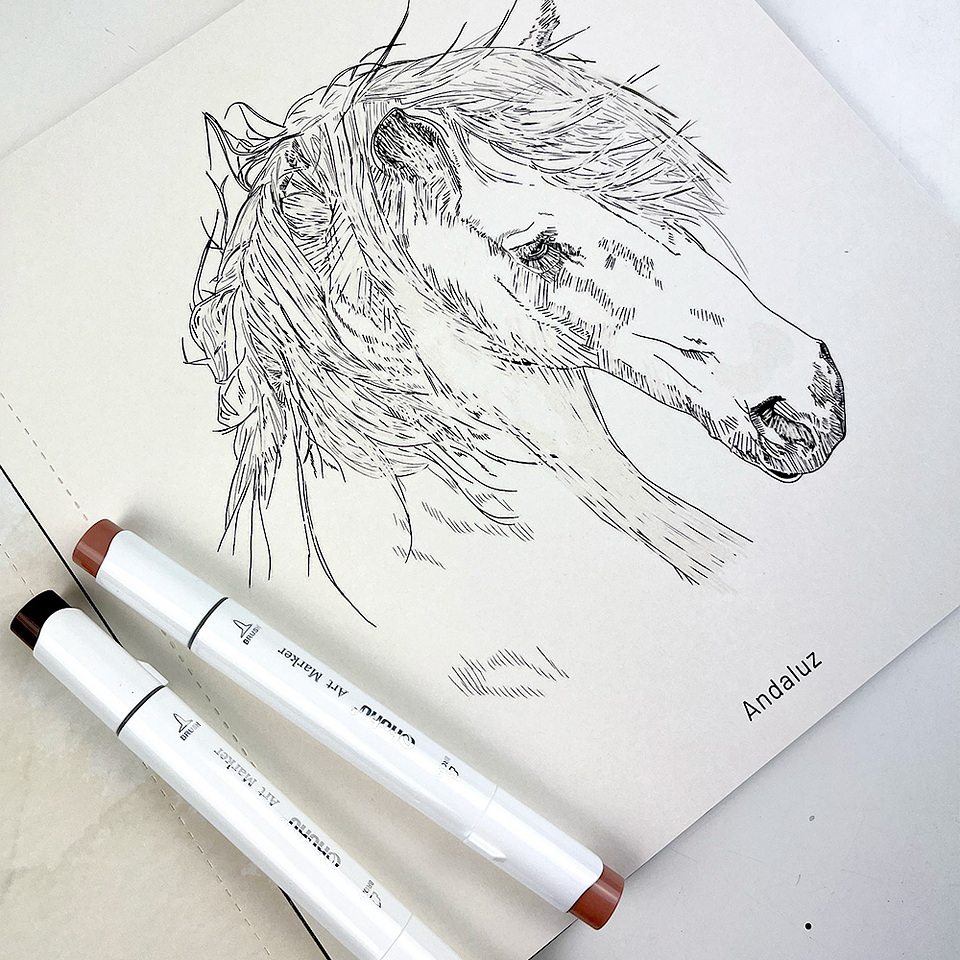 LIBRO CABALLOS RAZAS DEL MUNDO 9789564164847 4