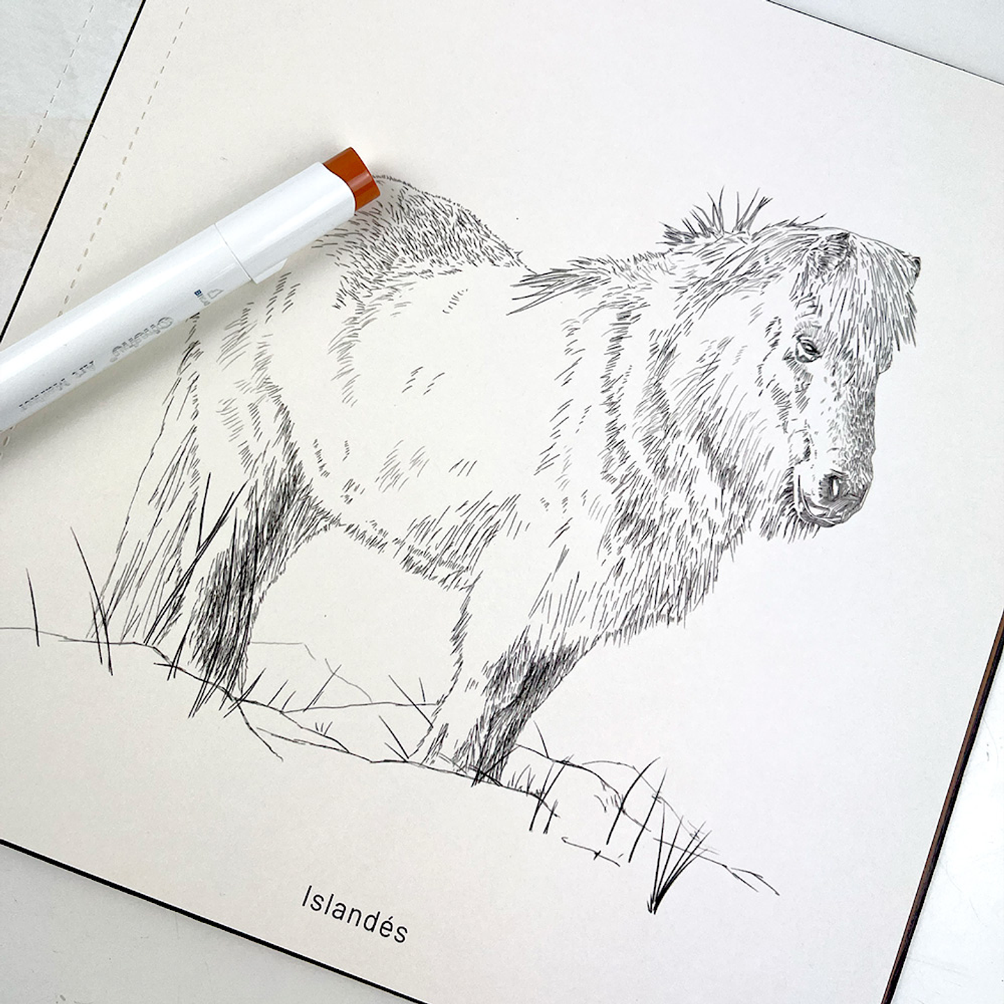 LIBRO CABALLOS RAZAS DEL MUNDO 9789564164847 5