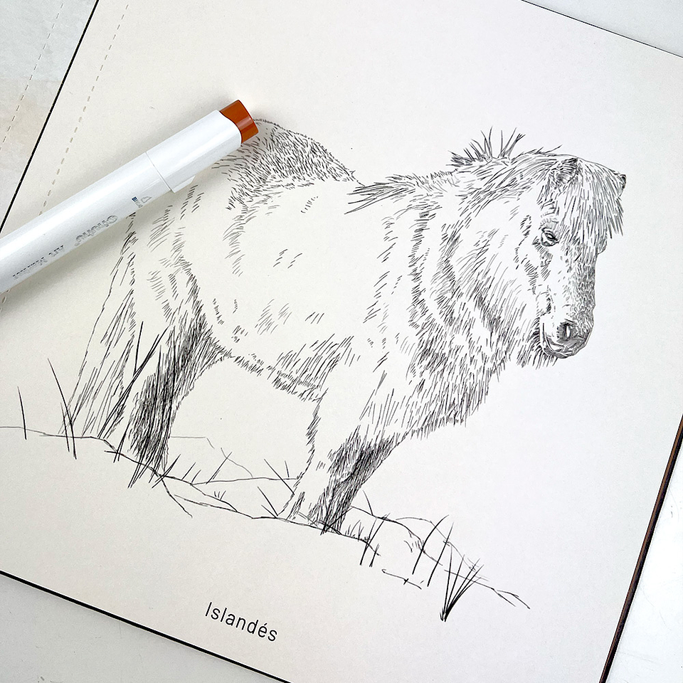 LIBRO CABALLOS RAZAS DEL MUNDO 9789564164847 5