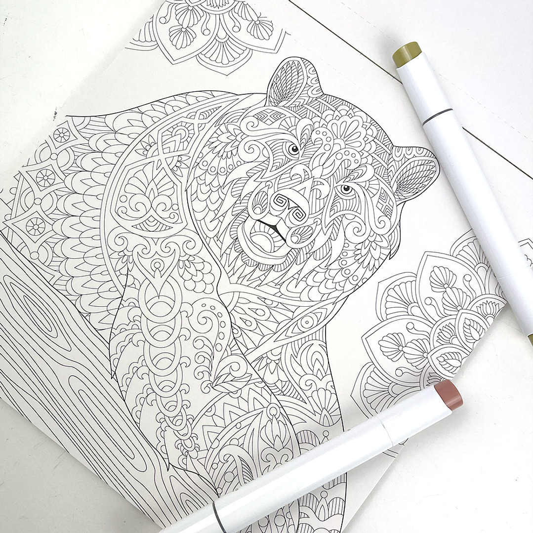 BLOCK PARA COLOREAR MANDALAS  4