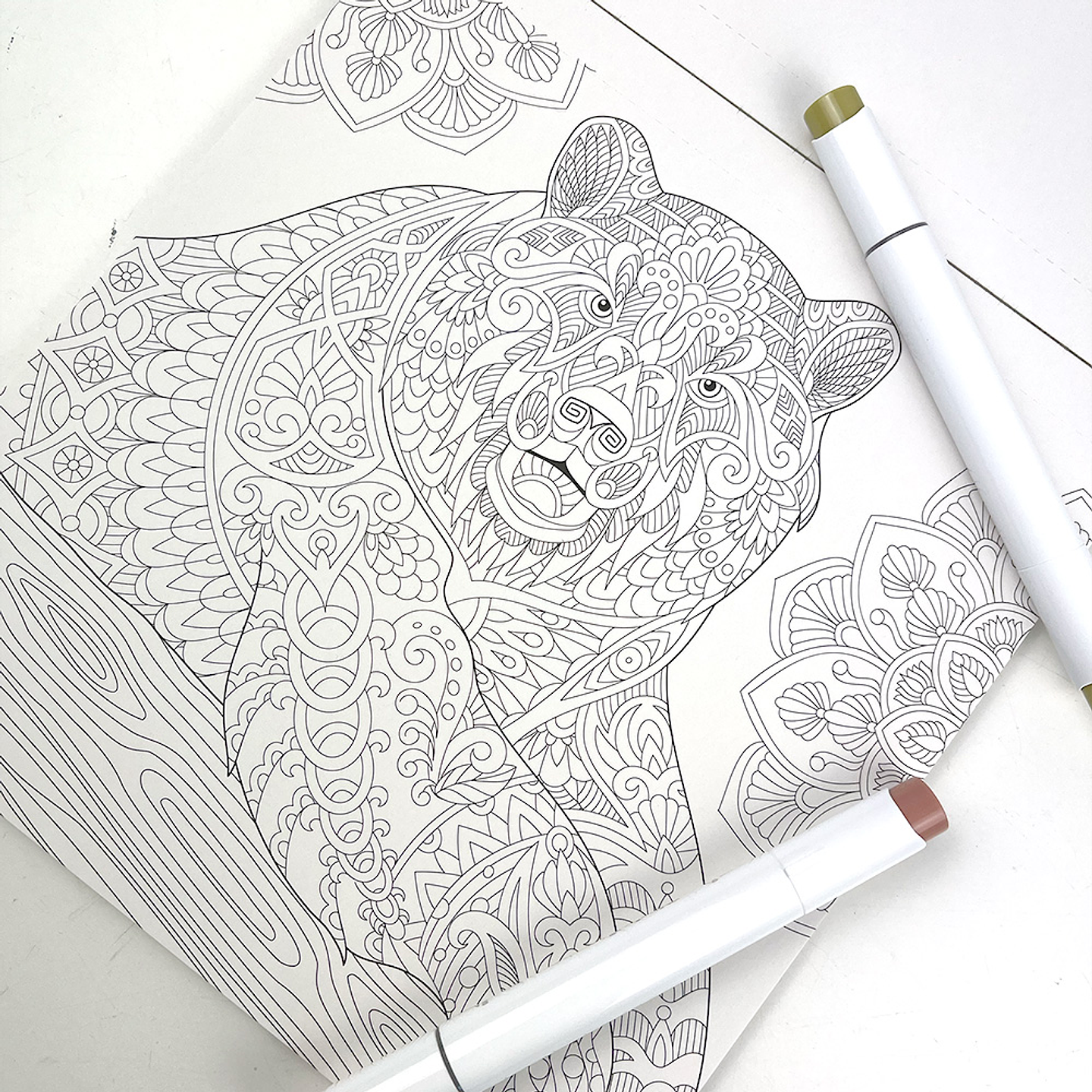 BLOCK PARA COLOREAR MANDALAS  4