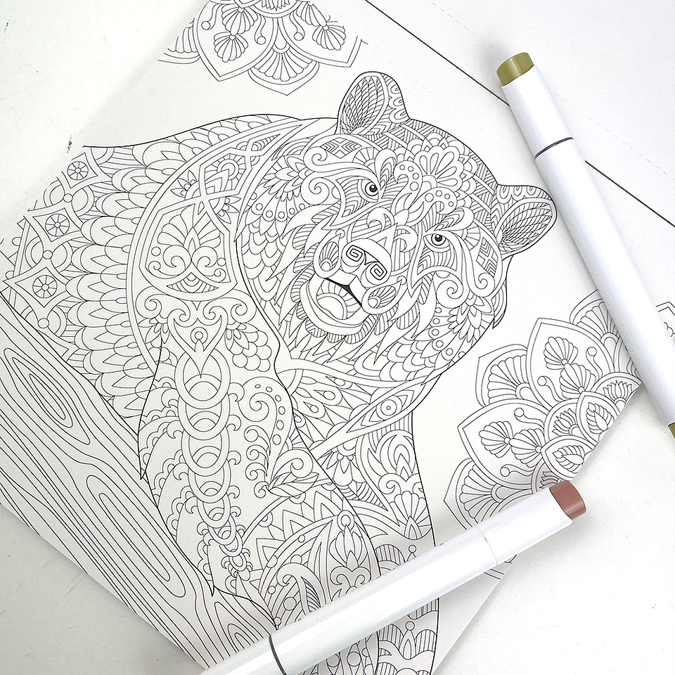 BLOCK PARA COLOREAR MANDALAS  4