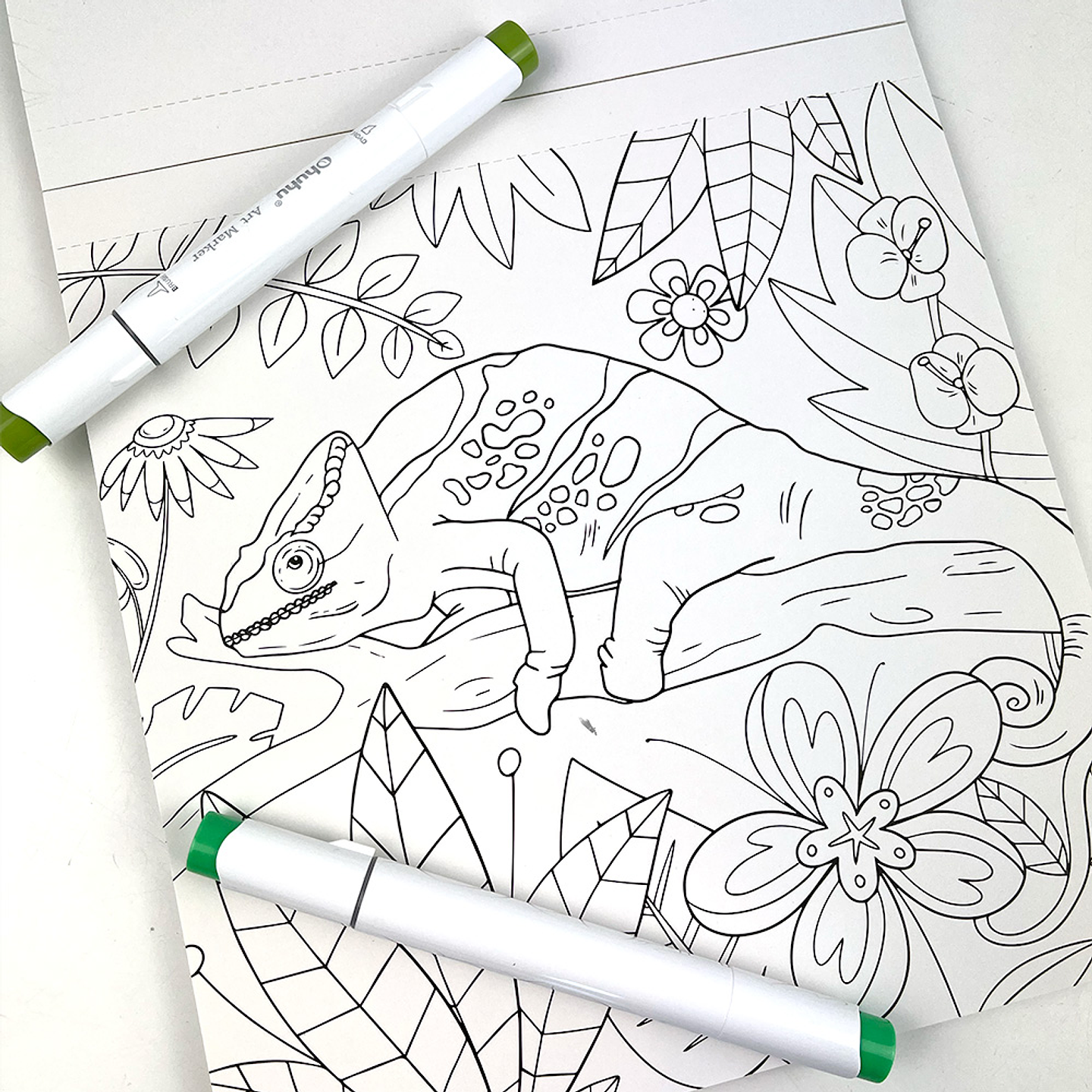 BLOCK PARA COLOREAR MAGIA TROPICAL  4