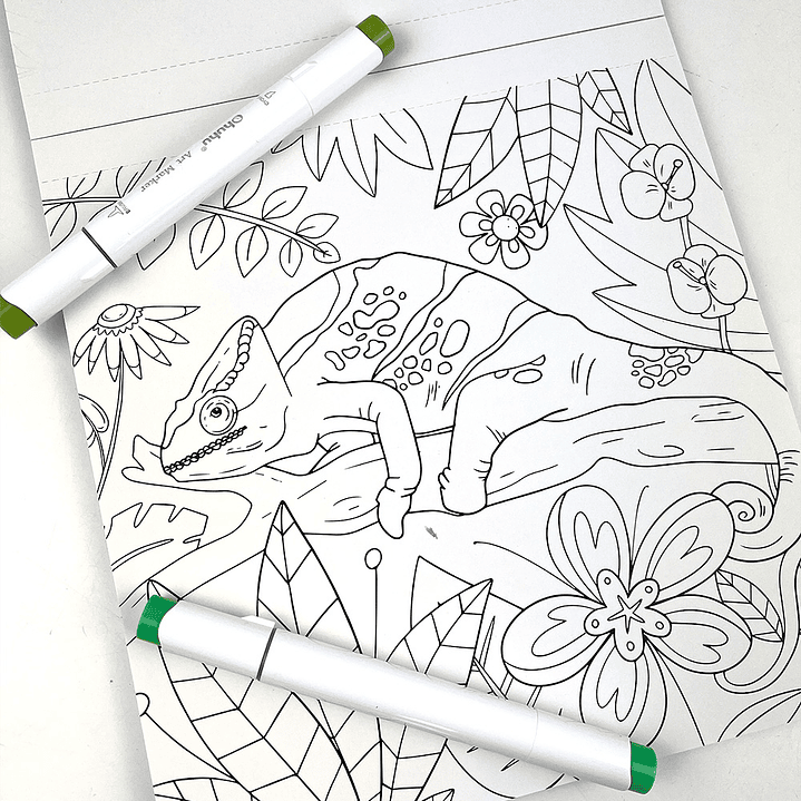 BLOCK PARA COLOREAR MAGIA TROPICAL  4