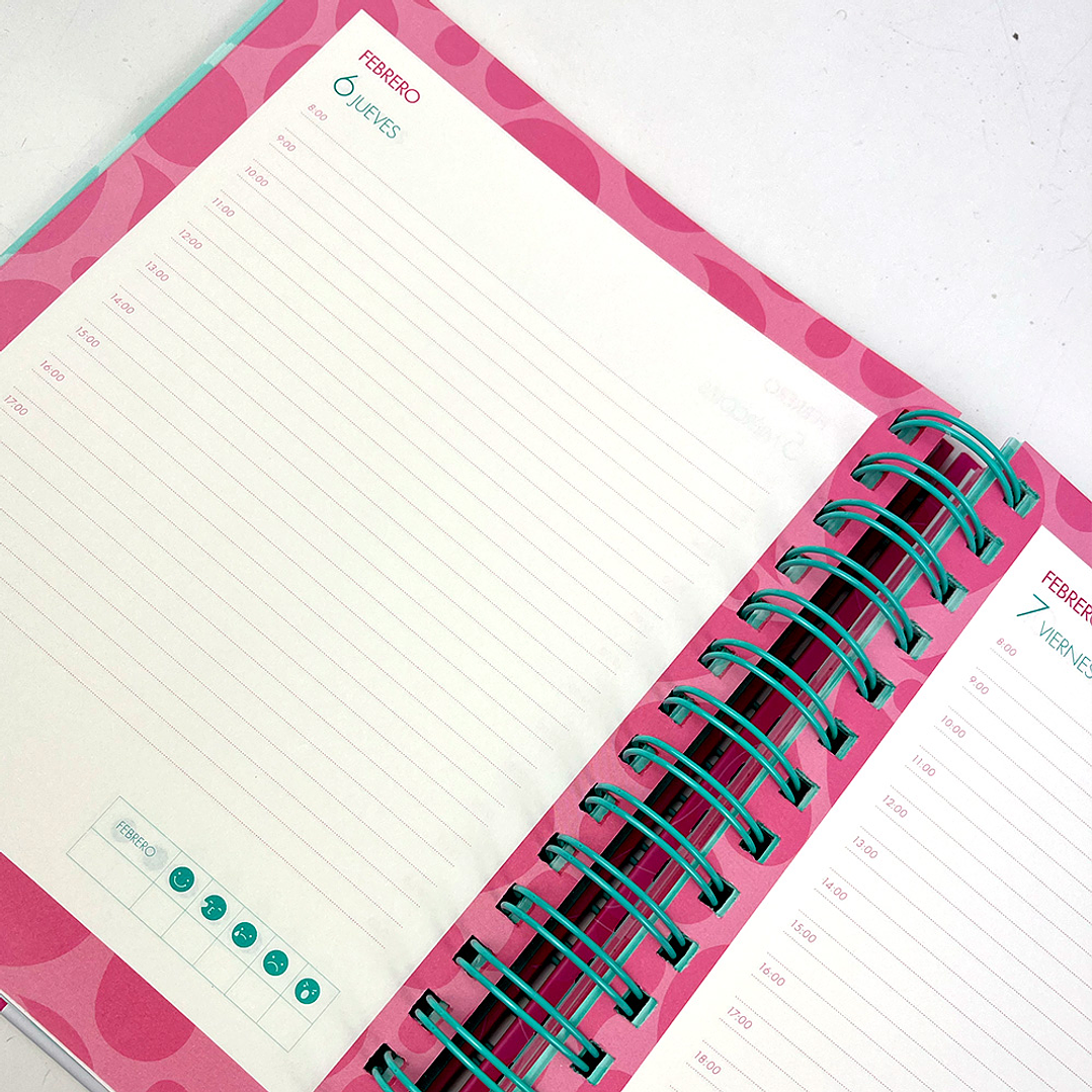 AGENDA DIARIA 2025 PINK  4