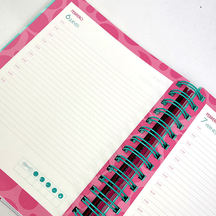 AGENDA DIARIA 2025 PINK  4