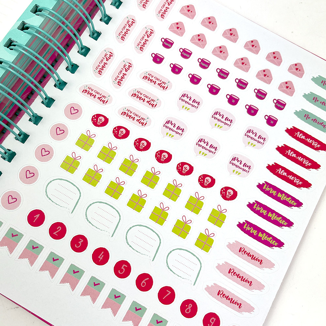 AGENDA DIARIA 2025 PINK  5