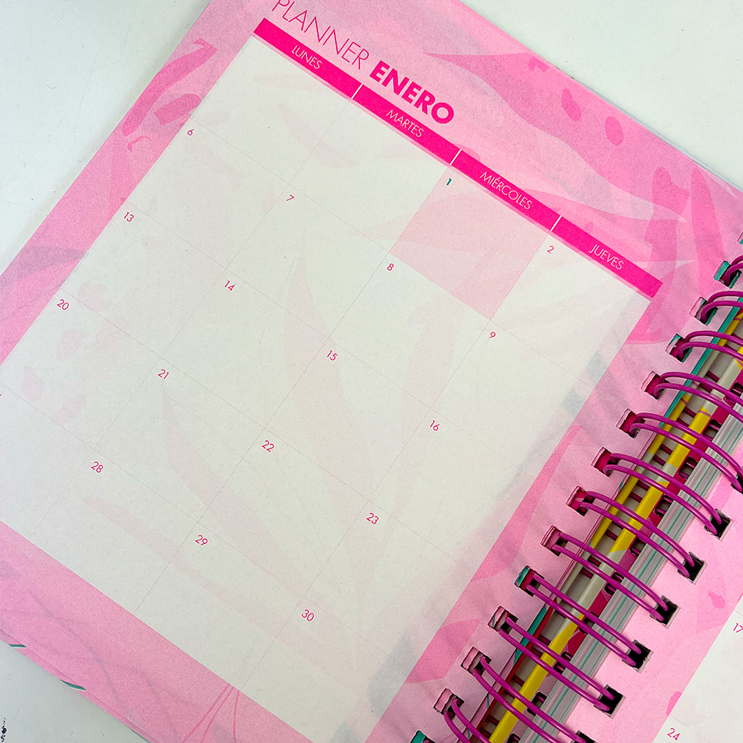 AGENDA DIARIA 2025 PH  3