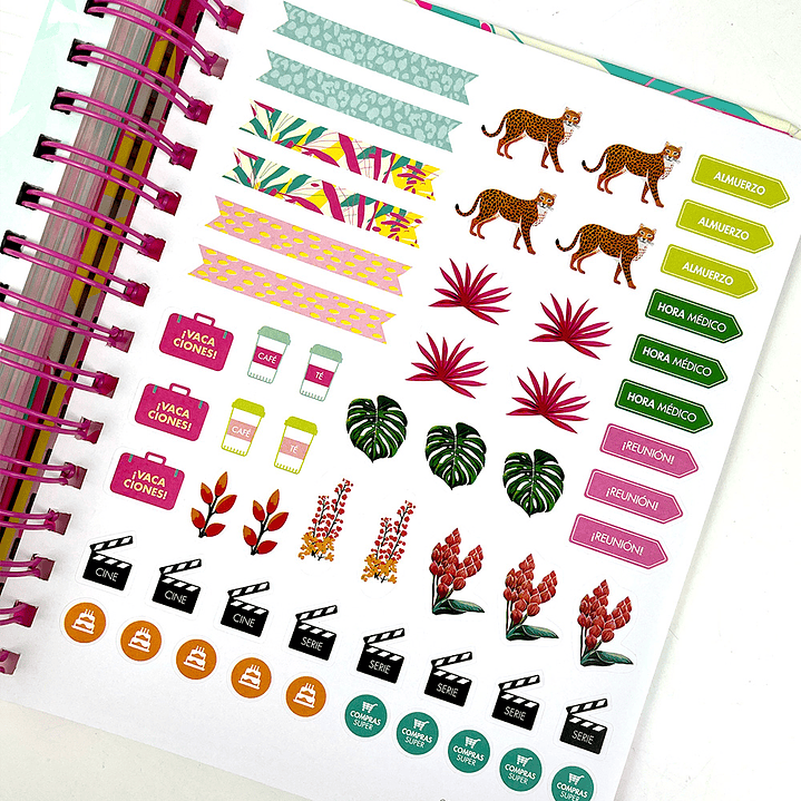 AGENDA DIARIA 2025 PH  5