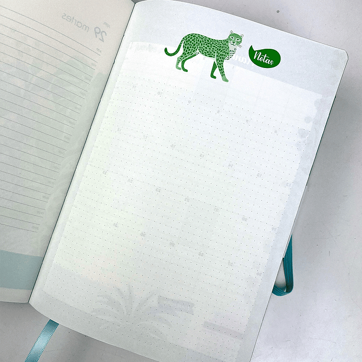 AGENDA DIARIA 2025 SELVATRO  5