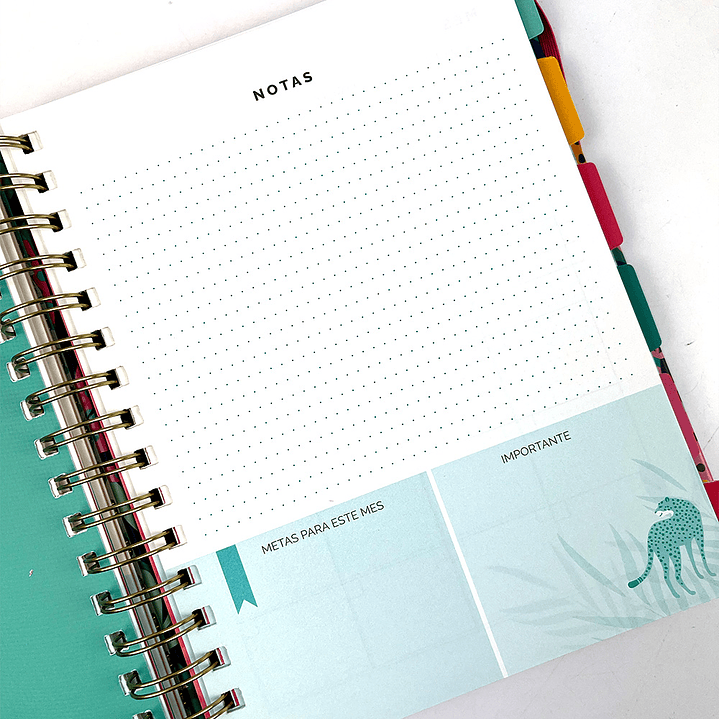 PLANNER 12 MESES 2025/STROPISELVA 16X21CM  4