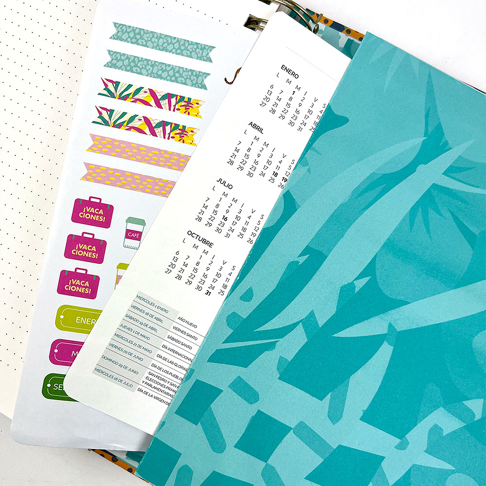 PLANNER 12 MESES 2025/STROPISELVA 16X21CM  5