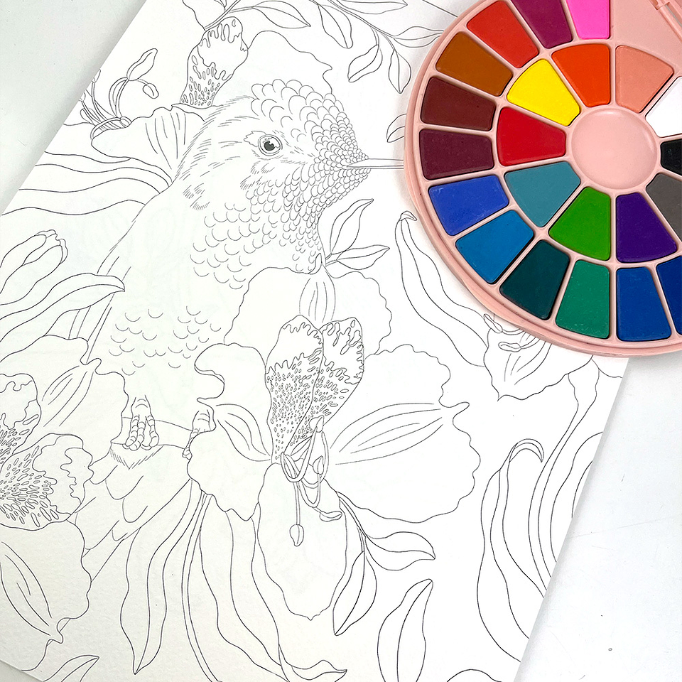 BLOCK PARA ACUARELAS AVES Y FLORA DE CHILE  3