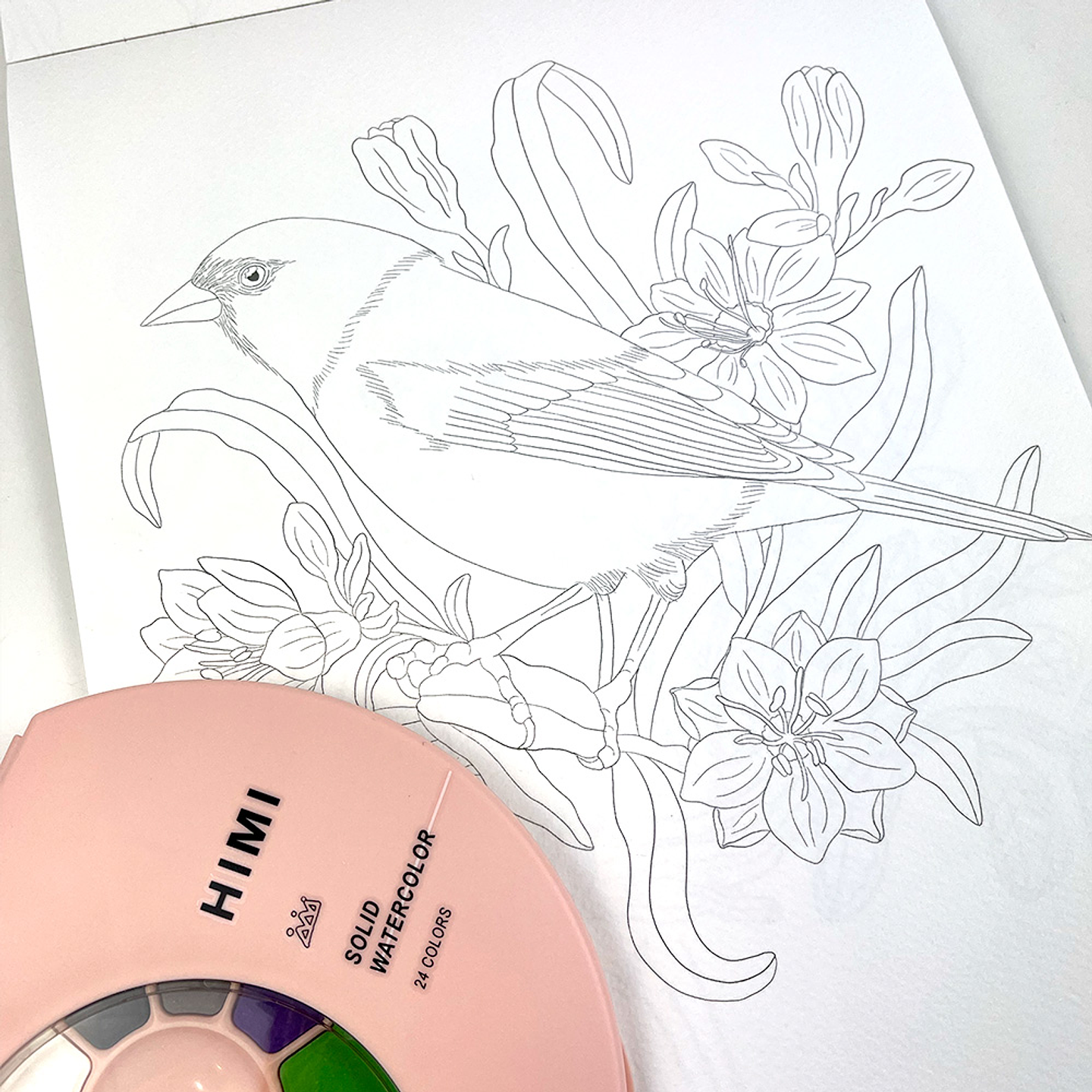 BLOCK PARA ACUARELAS AVES Y FLORA DE CHILE  5