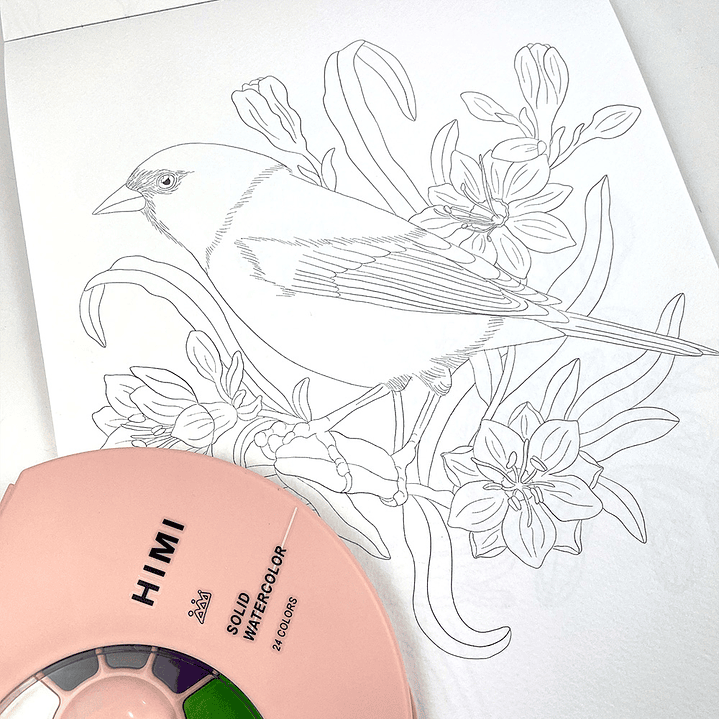 BLOCK PARA ACUARELAS AVES Y FLORA DE CHILE  5