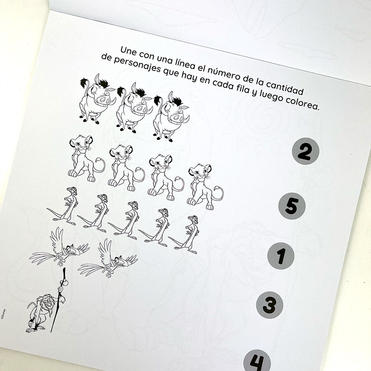 DIVERTIBLOCK REY LEON  3