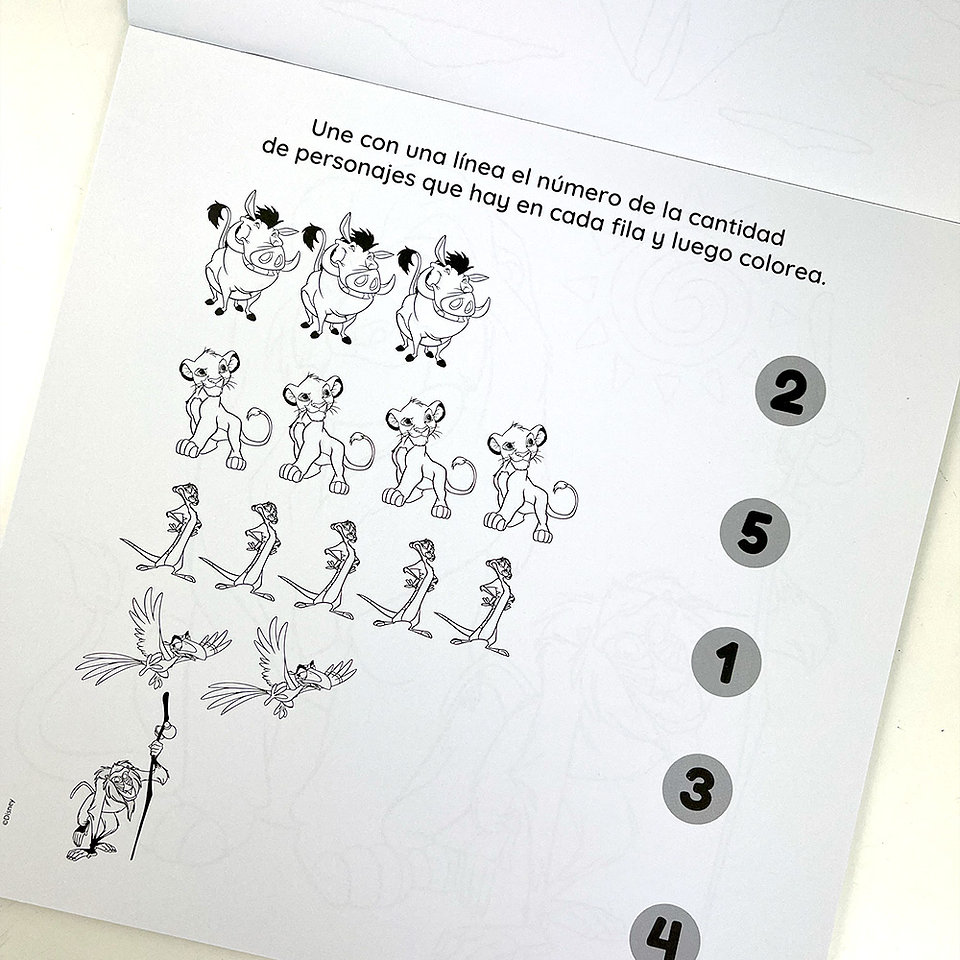 DIVERTIBLOCK REY LEON  3