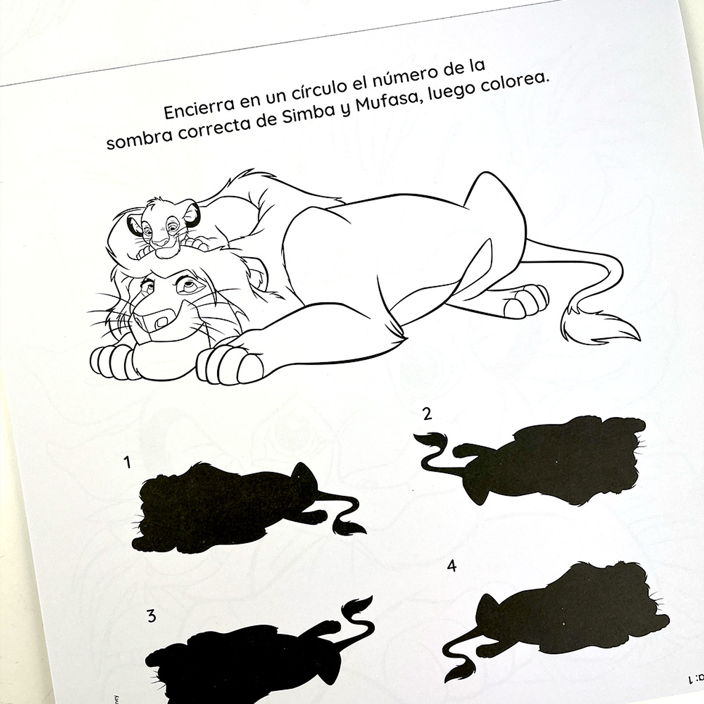 DIVERTIBLOCK REY LEON  4