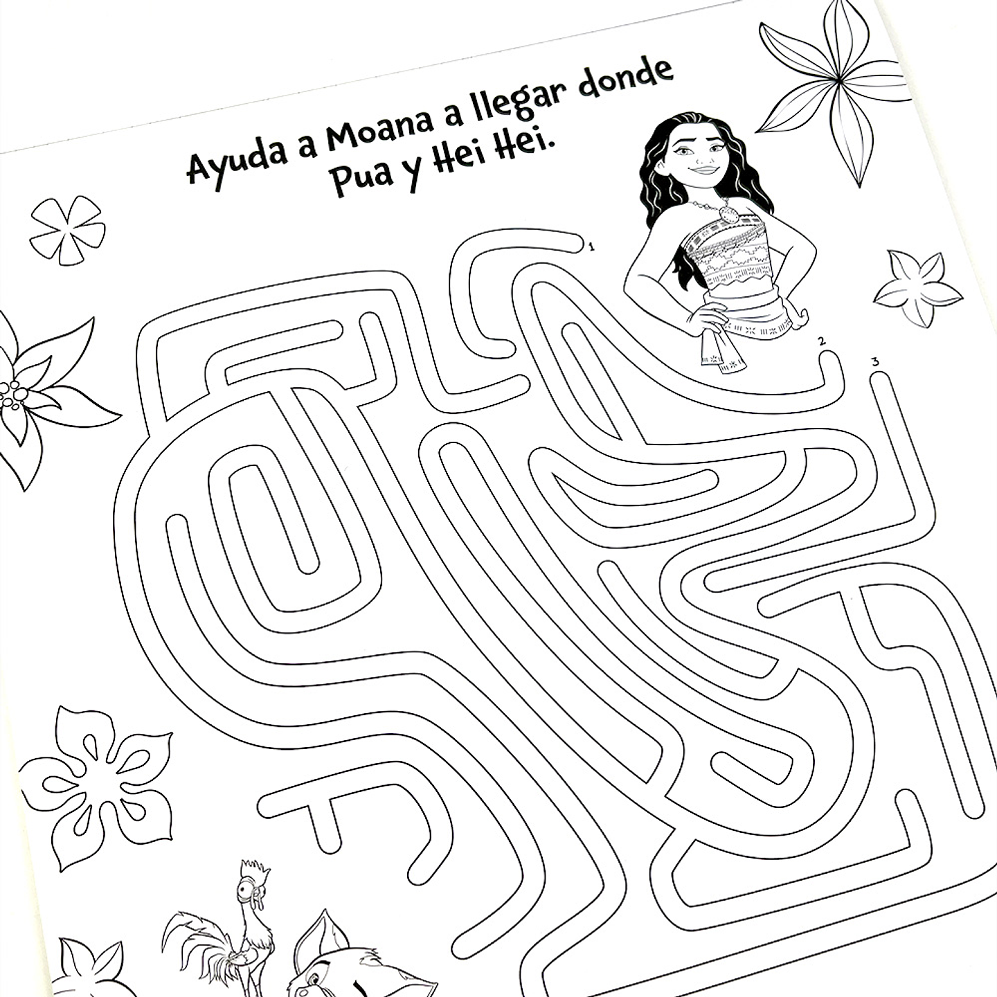 DIVERTIBLOCK MOANA  3