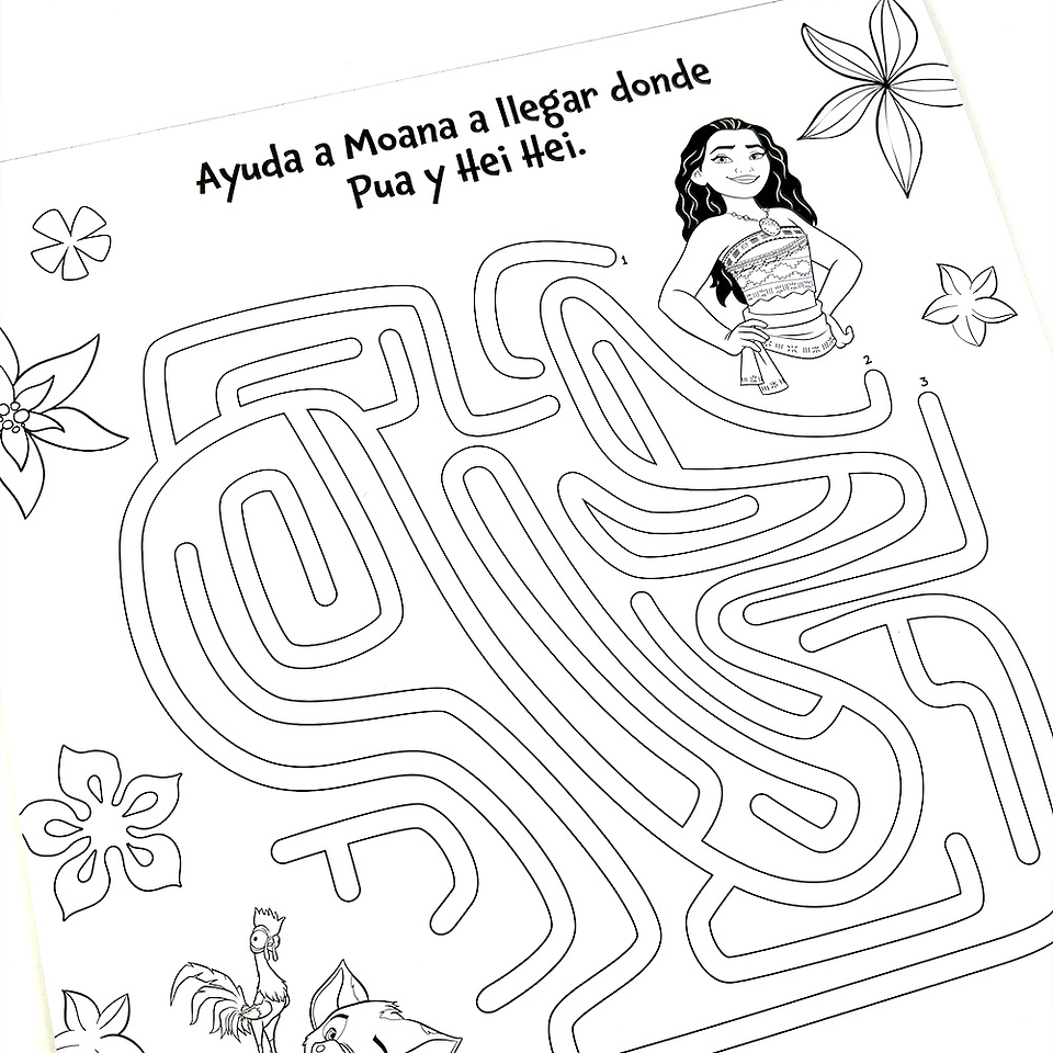 DIVERTIBLOCK MOANA  3