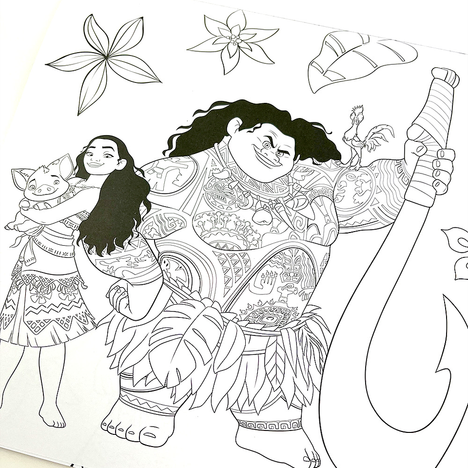 DIVERTIBLOCK MOANA  4