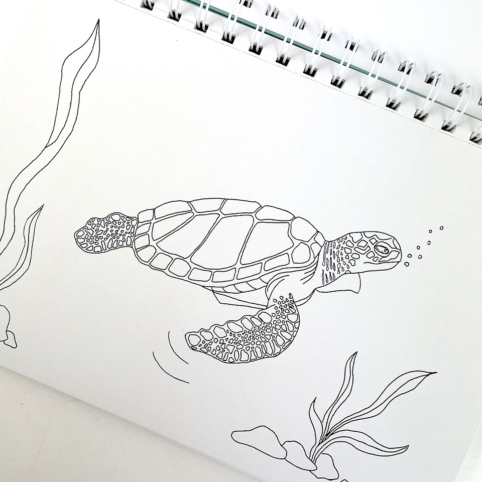 LIBRO PARA PINTAR MI OCÉANO  3