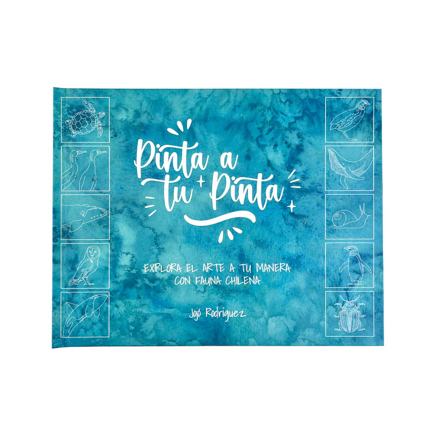 LIBRO PINTA A TU PINTA POR JOJO RODRIGUEZ  1