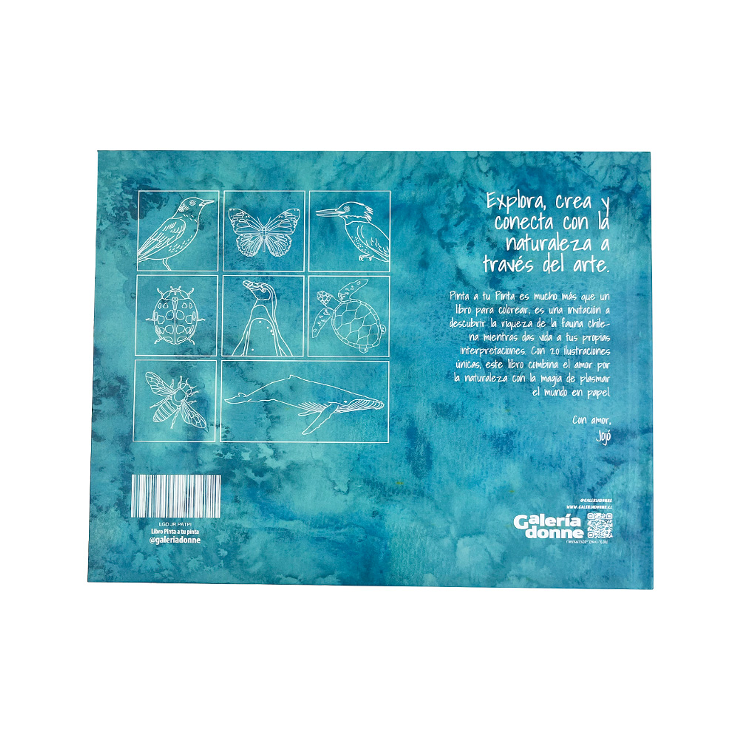 LIBRO PINTA A TU PINTA POR JOJO RODRIGUEZ  2