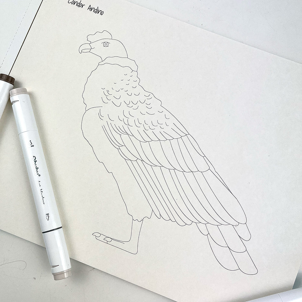 LIBRO PINTA A TU PINTA POR JOJO RODRIGUEZ  3