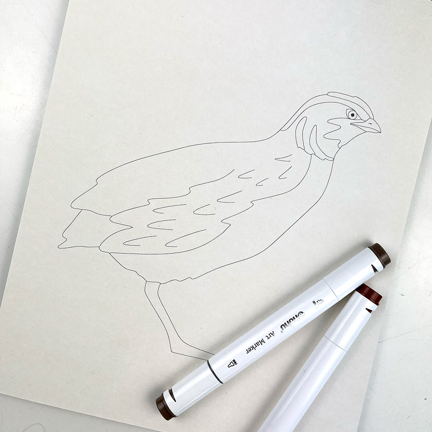 LIBRO PINTA A TU PINTA POR JOJO RODRIGUEZ  4