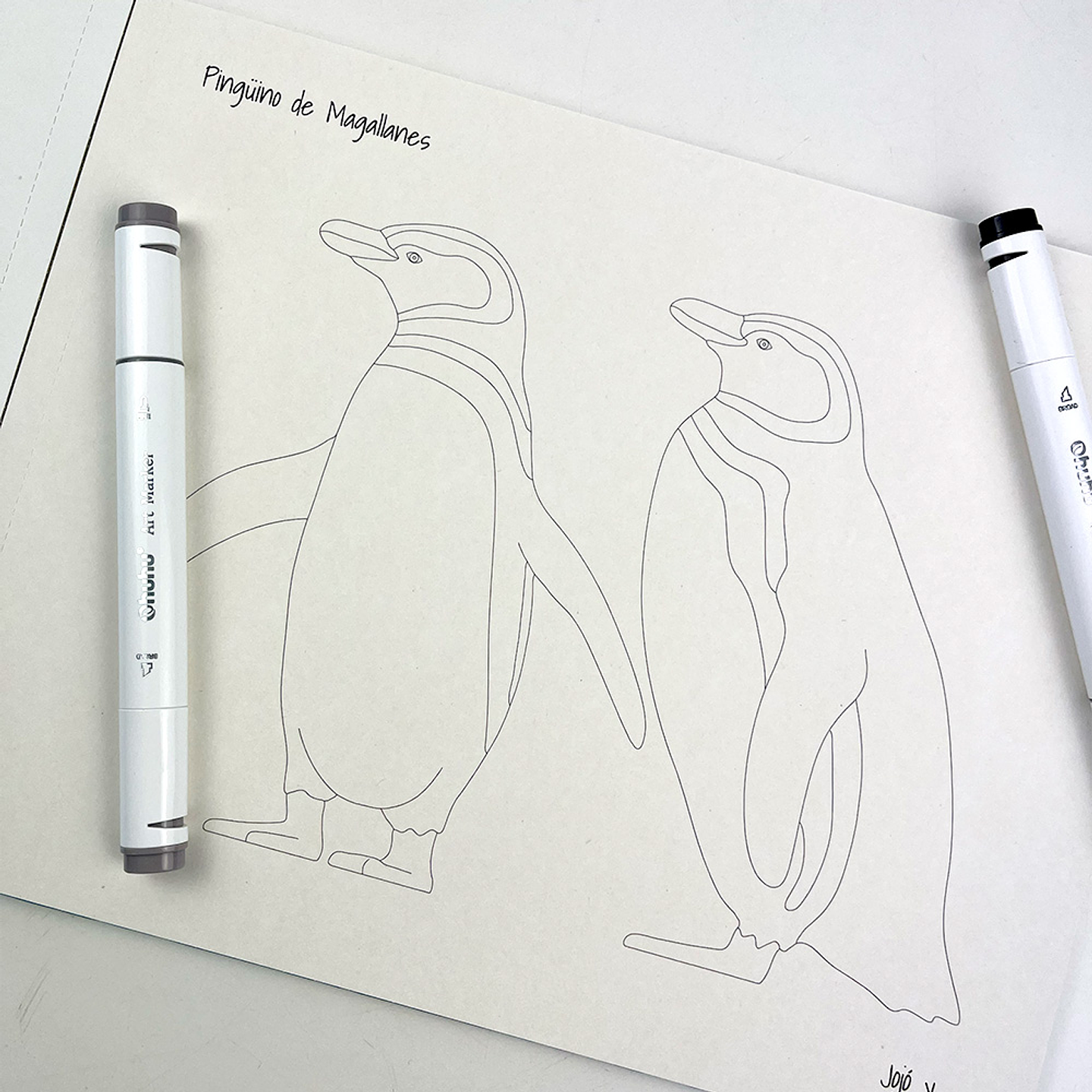 LIBRO PINTA A TU PINTA POR JOJO RODRIGUEZ  5