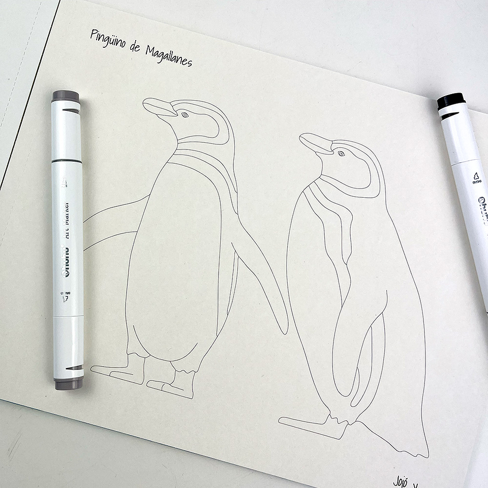 LIBRO PINTA A TU PINTA POR JOJO RODRIGUEZ  5