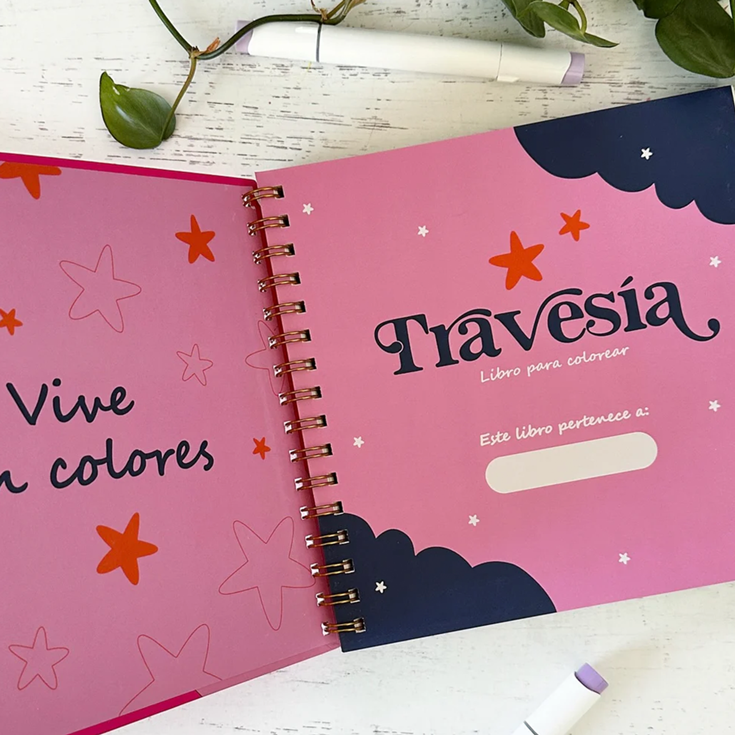 LIBRO TRAVESIA  3