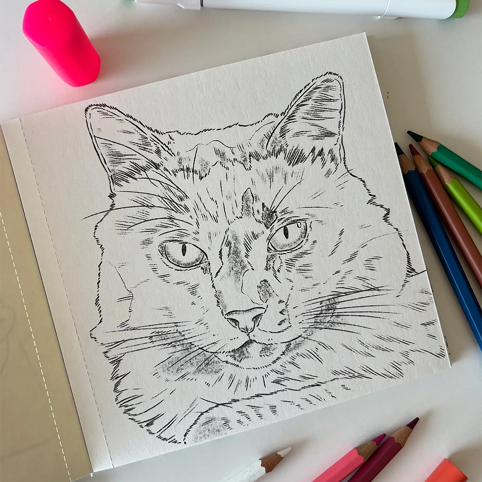 LIBRO PERROS Y GATOS POR CATA FUENZALIDA 3