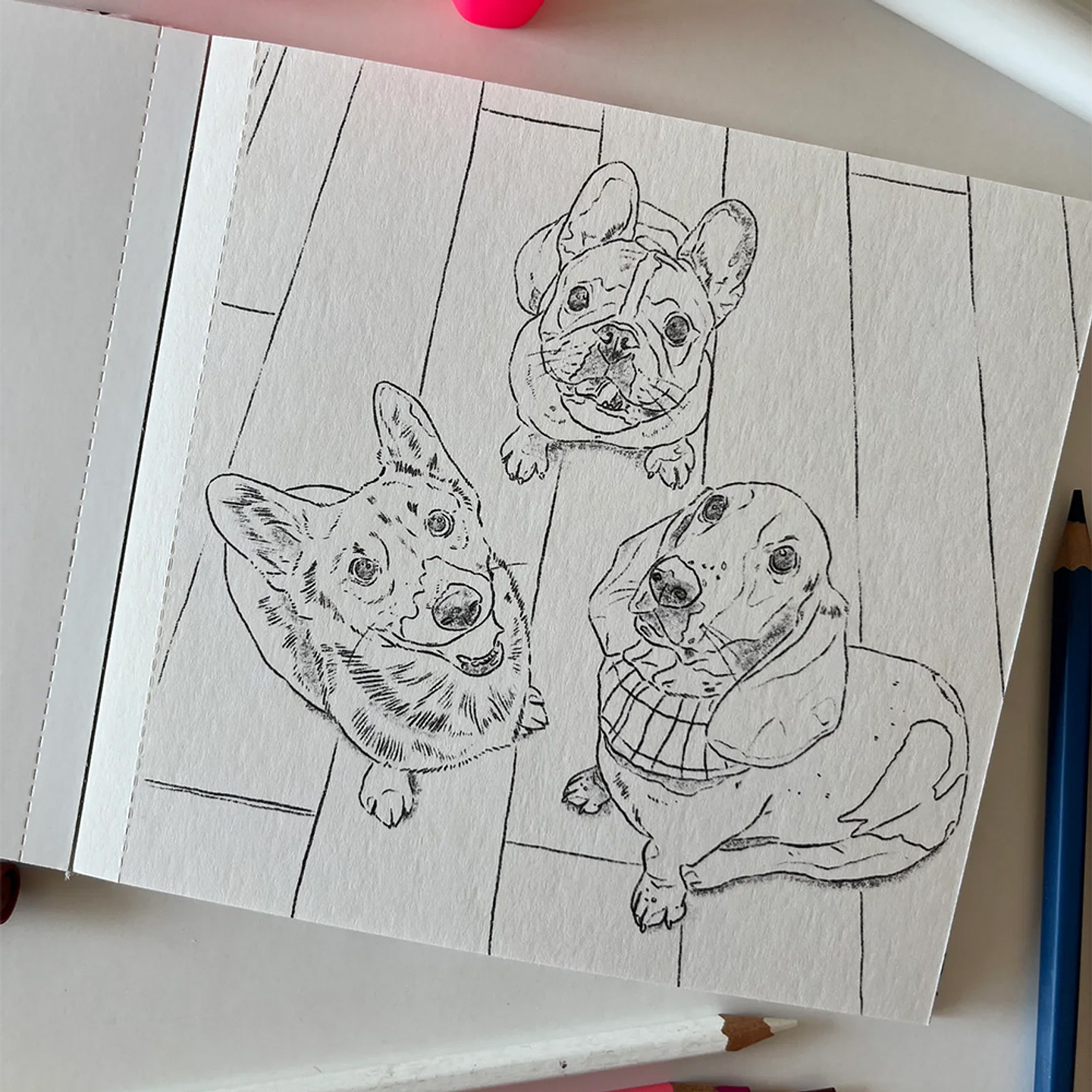 LIBRO PERROS Y GATOS POR CATA FUENZALIDA 4