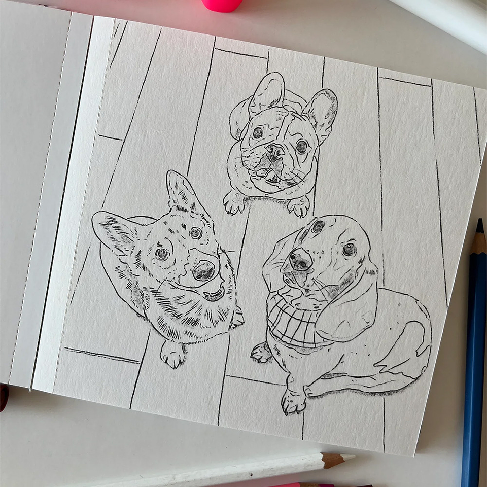 LIBRO PERROS Y GATOS POR CATA FUENZALIDA 4