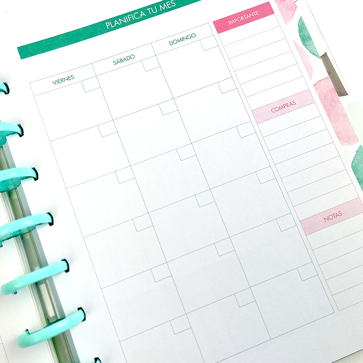 BIG PLANNER MODELO PUNTOS 12 MESES SIN FECHA 17X23CM 6