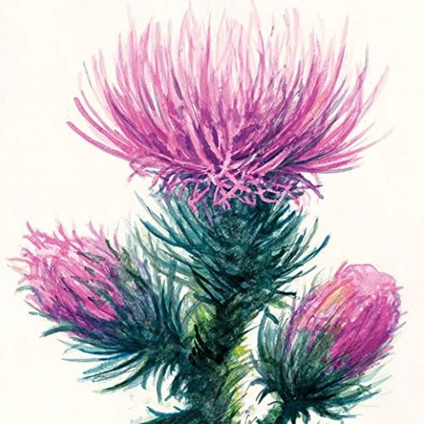 BLOCK WATERCOLOUR STRATHMORE 15,2 X 30.5 CM 300 G/M2  3