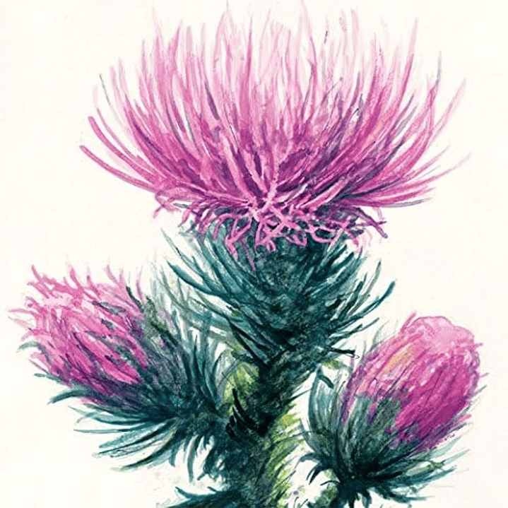 BLOCK WATERCOLOUR STRATHMORE 15,2 X 30.5 CM 300 G/M2  3