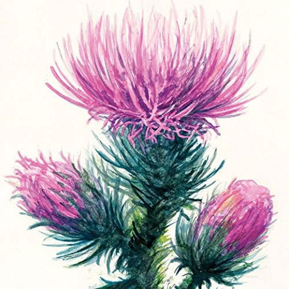 BLOCK WATERCOLOUR STRATHMORE 15,2 X 30.5 CM 300 G/M2  3