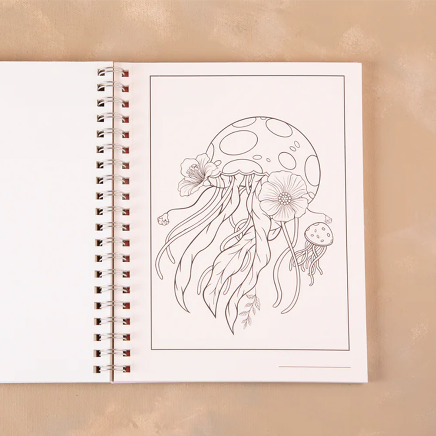 LIBRO OCEANA LAUEM 3