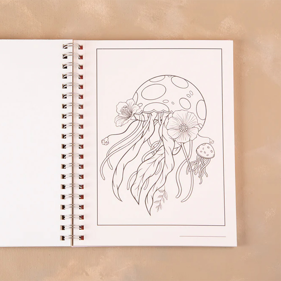 LIBRO OCEANA LAUEM 3